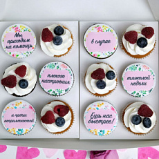 Капкейки с ягодами "Скорая помощь" 12 шт